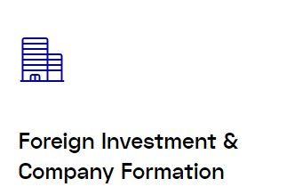 Foreign Investment & Company incorporation